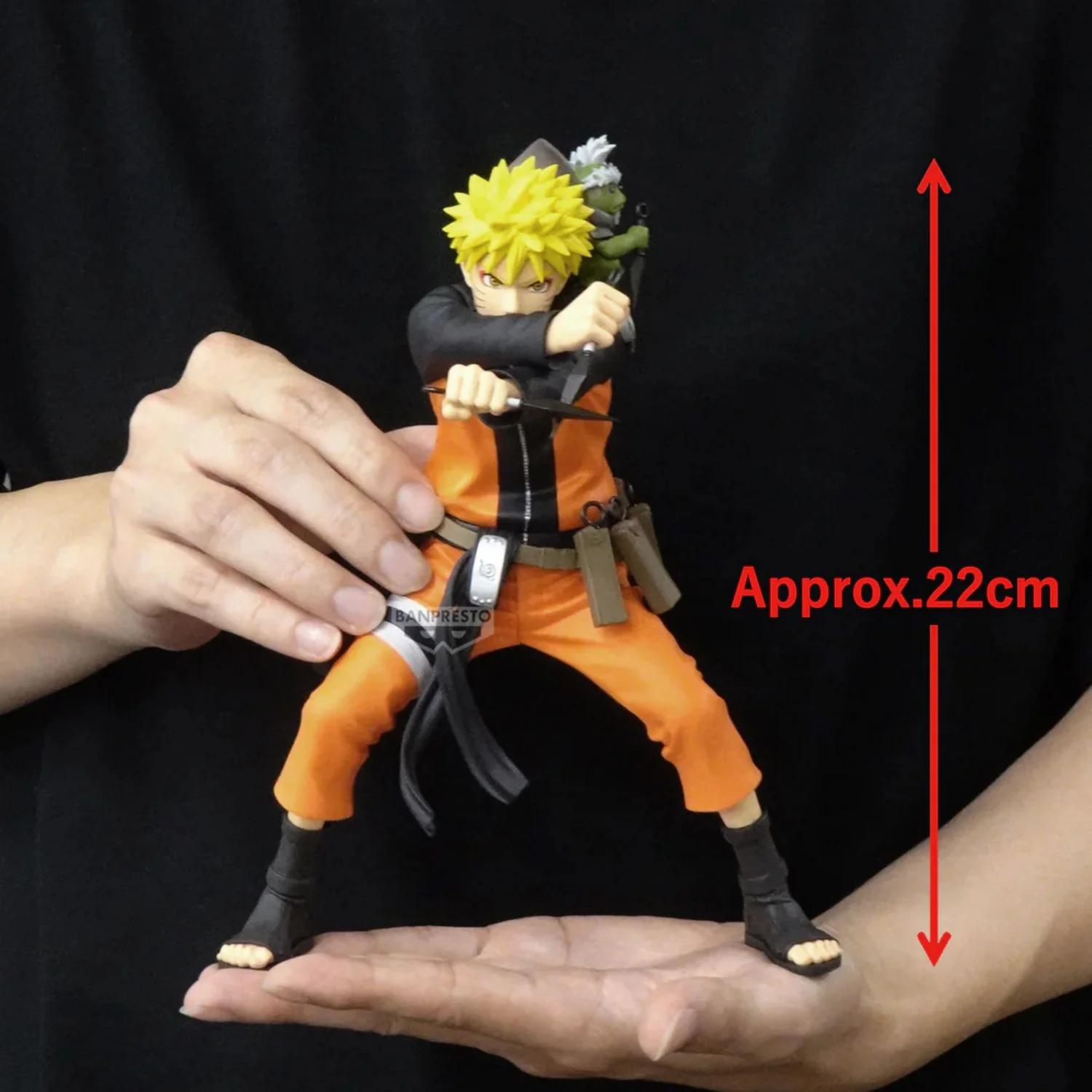 Thumbnail 6